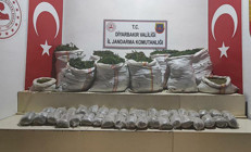 İçişleri Bakanlığı duyurdu 1 milyon 493 bin kök kenevir  ele geçirildi