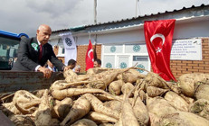 Bakan Kirişci şeker pancarı alım fiyatını açıkladı