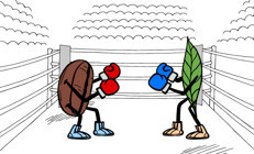 BÜYÜK KAPIŞMA | Sağlık için hangisi daha faydalı Kahve mi çay mı