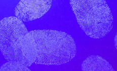 3﻿8 yıl hapis yattı... DNA kanıtları suçsuz olduğunu ortaya çıkardı