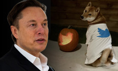Elon Musktan Dogecoin paylaşımı Yükseliş başladı