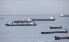 Dünyadan Türkiye’ye tahıl teşekkürü