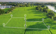 Ev alamayan alternatif buldu Arsa, tarla satışında rekor kırıldı