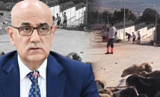 Bakan Kirişci: Barınaklar için ormanlardan yer verilecek