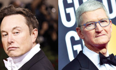 Neler oluyor burada Tim