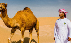 Cristiano Ronaldonun yeni takımı belli oluyor Akılalmaz teklife Evet dedi, tarihin en büyük imzası...