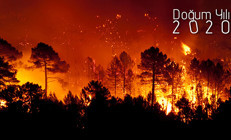 Hurriyet.com.tr ÖZEL BELGESEL | Doğum Yılı 2020 Bölüm#3: Ormanlarımız neden yanıyor Nasıl engelleriz