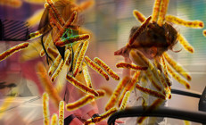 Çocuğunu enfeksiyona kurban veren anne dikkat edilmesi gereken tehlike işaretini açıkladı