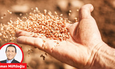 Topraktan tohuma mikroplastik tehdidi