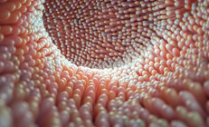 Hareketsizliğin sorumlusu bulundu... Egzersiz yapmaktan kaçınıyorsanız nedeni bağırsaklarınız olabilir