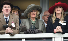 Harrynin çocukları yok, Camillanın torunları bile orada: İstenmediği sarayın hanımı oldu