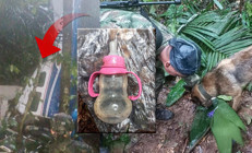 Gerçek bir mucize: Uçakları düşen 4 çocuk, 2 hafta sonra ormanlık alanda sağ bulundu