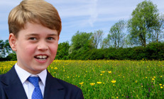 Miras değil... Daha bebekken yabancı ülkede toprak sahibi oldu: Kır çiçekleri de yeni doğan bebekler kadar kırılgandır