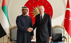 Cumhurbaşkanı Erdoğan BAE Devlet Başkanı ile görüştü