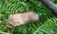 Ayak parçası bulundu anonsunu duyanlar kulaklarına inanamadı