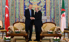 Cumhurbaşkanı Erdoğan, Abdülmecid Tebbun ile görüştü