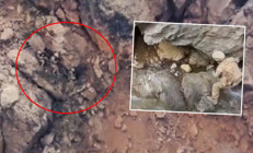 Terör örgütüne ağır darbe Bakan Yerlikaya paylaştı: 58 mağara, sığınak ve depo imha edildi