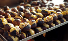 Kestane diye hayvan yemi satılıyor Nasıl ayırt ediliyor Kazara yiyen ne yapmalı İnsanlar ve bazı hayvanlar için çok zehirli