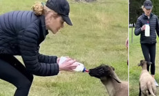 Ünlü oyuncunun bir çiftliği var, çiftliğinde minik kuzuları bile var: Kendi elleriyle besledi