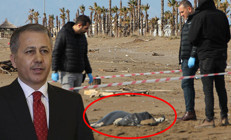 Bakan Yerlikayadan Antalya ve Muğla sahillerine vuran cansız bedenlerle ilgili açıklama