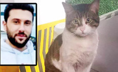 Kedi Erosu vahşice katletmişti İbrahim Keloğlanın cezası belli oldu... İyi hal indirimi uygulandı
