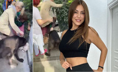 Banu Parlakın köpeği dehşet saçtı Olayı böyle savundu