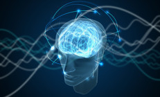 Beyin gücünü artırmanın en basit yolu nedir İşte Steve Jobs ve Mark Zuckerbergin de uyguladığı yöntem...