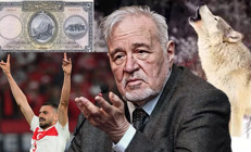 Prof. Dr. İlber Ortaylı anlattı: Bozkurt Türk milletinin sembolüdür