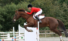 Binicilik paralimpik oyunları Google Doodle oldu Paris 2024 Paralimpik oyunları Türkiyeden katılan sporcu var mı
