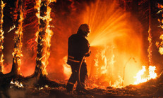 Gelmiş geçmiş en büyük orman yangınlarından birini hiç zarar görmeden atlattılar Bir kasaba bunu nasıl başardı