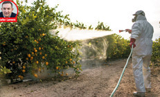 Sefer Levent yazdı: Tarım ilacı yemeyelim, yedirmeyelim