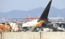 Ne oluyor bu uçaklara: Güney Kore’de uçak faciası