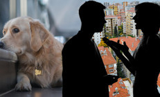 Evcil hayvan, kiracıyı tahliye nedeni olabilir mi “Ev sahibim ‘Evimde köpek istemiyorum’ diye bağırdı, komşularım da sürekli şikâyet ediyor” | Yönetim planındaki maddelere dikkat