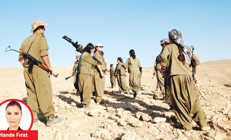 Hande Fırat yazdı: Bırakılan silahlar kayıt altına alınacak