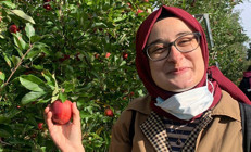 Boston üniversitesi profesörü, Rümeysa Öztürk için açlık grevine başladı