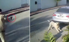 Antalyada vahşet Köpeği 3 el ateş ederek öldürdü