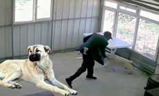 81 yaşındaki adamdan dehşete düşüren kötülük İşletmeci kamera görüntülerine bakınca gözlerine inanamadı