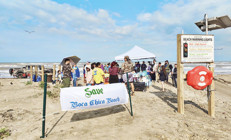 Musk kendine kasaba kuruyor