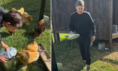 Ekranın en konuşkan yıldızıydı... Doğaya koşup çiftliğe yerleşti, başına gelmeyen kalmadı: Yemeğinizi yiyin tavuklarım