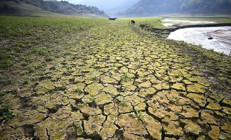 Kuraklık, gıda ve su kıtlığı kapıda Türkiye için 2050 yılı zor geçecek