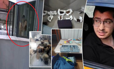 Sahiplendiği hayvanları katletmişti... İğrenç detaylar ortaya çıktı