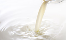 Etkisi inanılmaz: Sadece 1 su bardağı inek sütü riski yüzde 17 azaltıyor Süt ürünlerinin hangisi neye faydalı