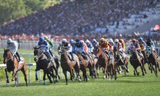 Son Dakika: 99. Gazi Koşusunu Cutha kazandı