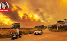 Ormanlar değil geleceğimiz yanıyor… Tek suçlu ‘çöl’ sıcakları ve iklim krizi mi