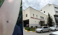 Bir kene vakası daha: 77 yaşındaki kadın hayatını kaybetti