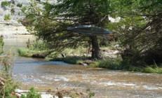 Texasta meydana gelen selde 160tan fazla kişi kayıp