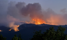 Alevlerle mücadele sürüyor | Eskişehirde çıkan orman yangıyla ilgili Afyonkarahisarda bir köy boşaltıldı