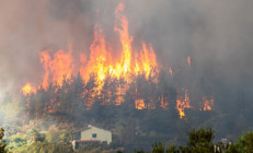 Son iki yılda 78 milyon dönümden fazla orman yandı, her dakika 18 futbol sahası büyüklüğünde ormanlık alan yok oluyor Tüm bunların sebebi ne ‘Çok daha fazla yangın olacak