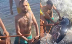 İzmirin Çeşme ilçesinde kıyıya vurdu: Sandalye ile tutmaya çalıştılar