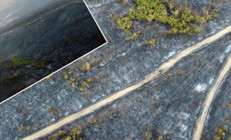 Çanakkaledeki orman yangınında zarar gören alanlar görüntülendi